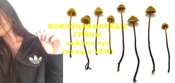 мдпв Усинск