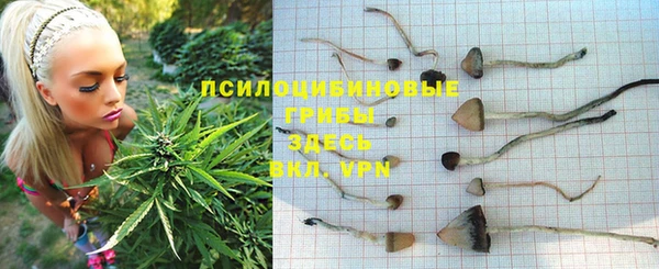 МДМА Тында
