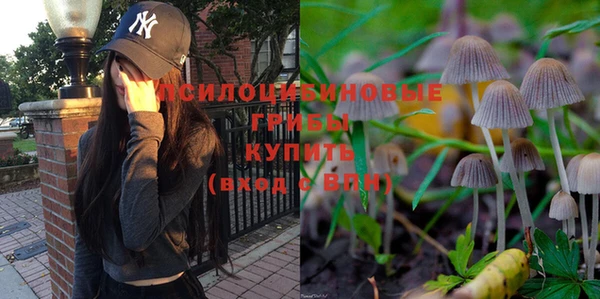 мет Туринск