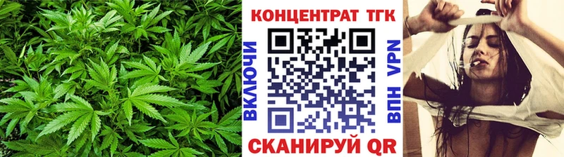 дарнет шоп  Эртиль  ТГК THC oil 