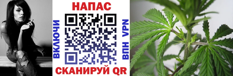 мега ссылки  Эртиль  МАРИХУАНА ГИДРОПОН 